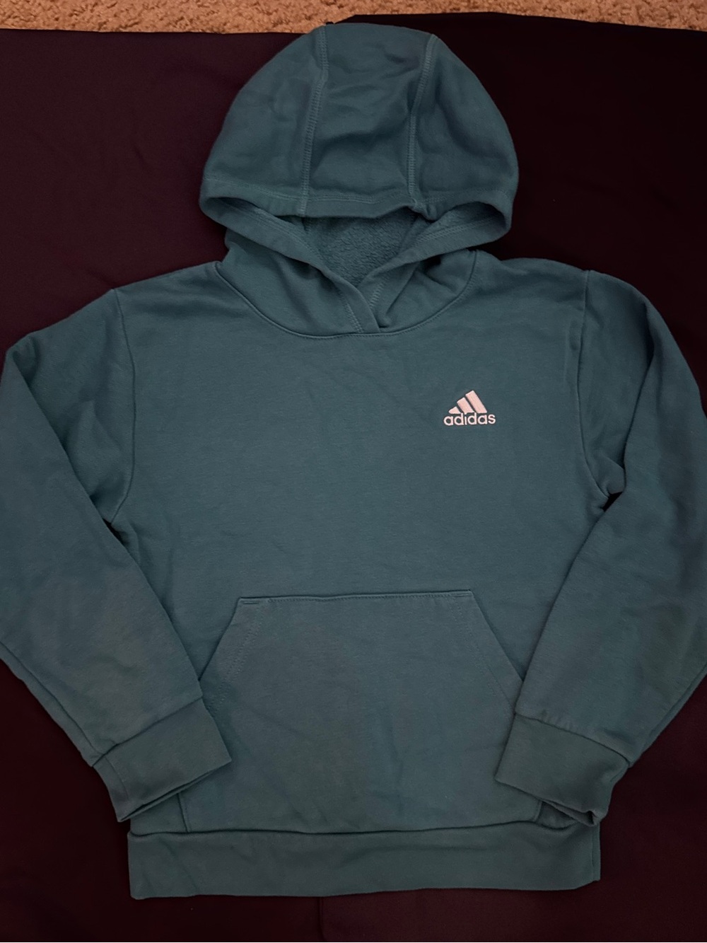 Adidas Kid’s Teal Hooded Sweatshirt and Sweatpants Set